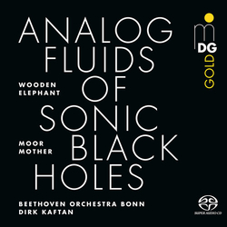 Moor Mother Analog Fluids Of Sonic Black Holes SACD CD