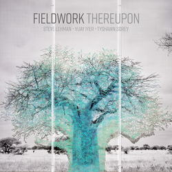 Fieldwork Thereupon VINYL LP