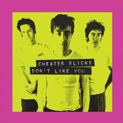Cheater Slicks Dont Like You  VINYL LP