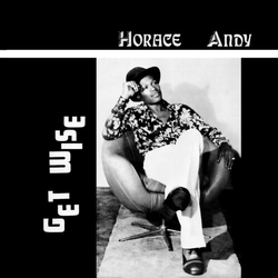 Horace Andy Get Wise VINYL LP
