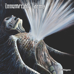 Innumerable Forms Pain Effulgence vinyl LP