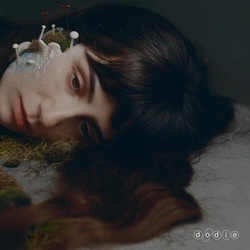 Dodie Not For Lack Of Trying VINYL LP