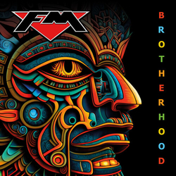 Fm Brotherhood VINYL LP