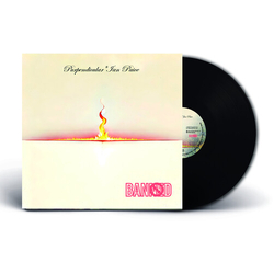 Purpendicular Banned VINYL LP