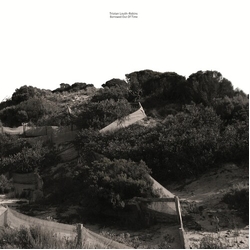 Tristan Louth-Robins Borrowed Out Of Time VINYL LP