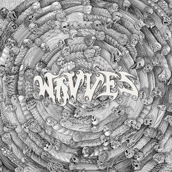 Wavves Spun VINYL LP