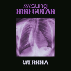 Werkha Unsung Irregular VINYL LP