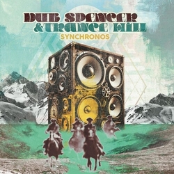 Dub Spencer Hill Trance Synchronos VINYL LP