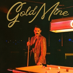 Stephen Day Gold Mine VINYL LP