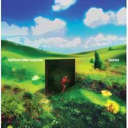 Rainbow Kitten Surprise Bones VINYL LP