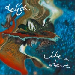 Delish Like A Sieve VINYL LP