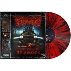 Peelingflesh Pf Radio 2 VINYL LP