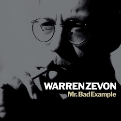 Warren Zevon Mr Bad Example vinyl LP