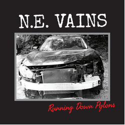 Ne Vains Running Down Pylons VINYL LP