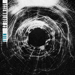 Assemblage 23 Null VINYL LP