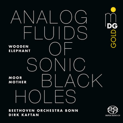 Moor Mother Analog Fluids Of Sonic Black Holes vinyl LP