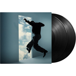 Kid Cudi Free vinyl LP