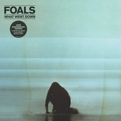 Foals What Went Down Anniversary Edition VINYL LP