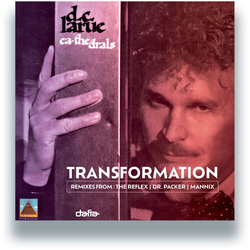 D.C. Larue Cathedrals Transformation vinyl LP
