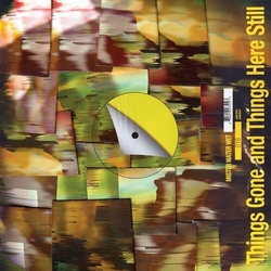 Mister Water Wet Things Gone & Things Here Still vinyl LP