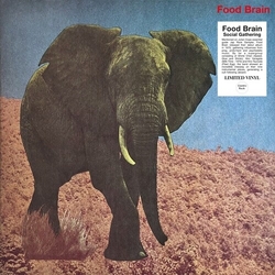 Food Brain Social Gathering vinyl LP