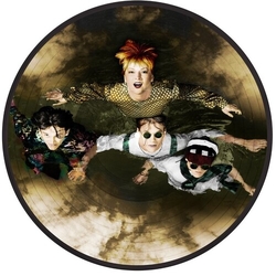 Toyah Take The Leap Picture Disc Vinyl Lp Picture Disc VINYL LP