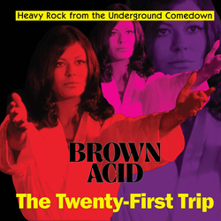 Brown Acid - The Twenty-First Trip Various Brown Acid - The Twenty-First Trip Various vinyl LP