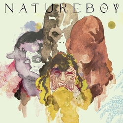 Natureboy Flako Natureboy vinyl LP