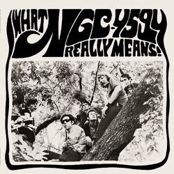 Ngc-4594 What Ngc-4594 Really Means vinyl LP