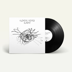 Floating Points Elaenia 10 Year Anniversary VINYL LP