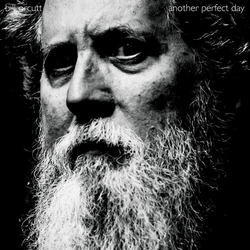 Bill Orcutt Another Perfect Day vinyl LP
