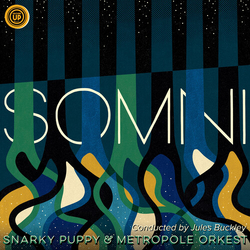 Snarky Puppy Somni vinyl LP