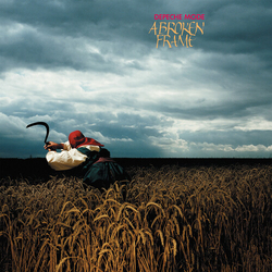 Depeche Mode Broken Frame vinyl LP
