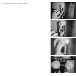 Martin Brandlmayr Interstitial Spaces vinyl LP