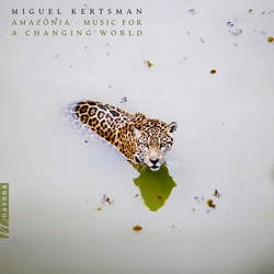 Miguel Kertsman Amazonia - Music For A Changing World vinyl LP