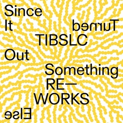 Adrian Corker Tibslc Re-Works Of Since It Turned Out Something vinyl LP