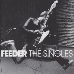 Feeder Singles (Cvnl) (Pnk) vinyl LP