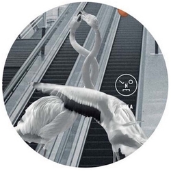 Sasha & Henry Saiz Love Is All You Need vinyl 12