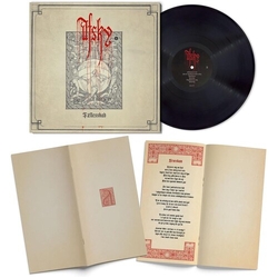 Afsky Faellesskab VINYL LP