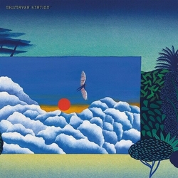Neumayer Station Crossings vinyl LP
