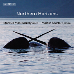 Markus Maskuniitty Northern Horizons SACD CD