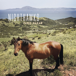 Nighthawks Paris Dakar vinyl LP