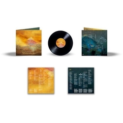 Silversun Pickups Tenterhooks VINYL LP