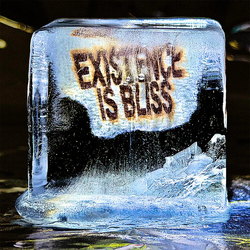 Deadletter Existence Is Bliss Autographed Transparent Glitter Colored Vinyl Clear VINYL LP