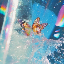 Daphni Butterfly vinyl LP