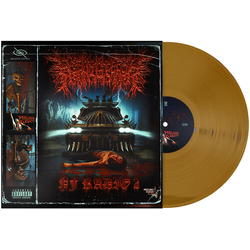 Peelingflesh Pf Radio 2 vinyl LP