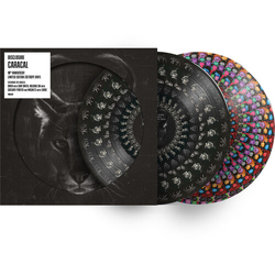 Disclosure Caracal Lp Zoetrope Picture Disc Anniversary Edition Limited Edition VINYL LP