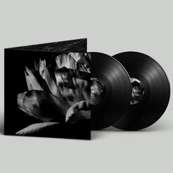 Louise Roam La Ou Passe La Nuit VINYL LP