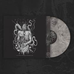 Blut Aus Nord The Work Which Transforms God VINYL LP