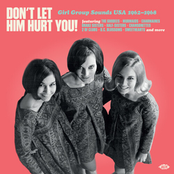 Dont Let Him Hurt You Girl Group Sounds Usa (Uk) Dont Let Him Hurt You Girl Group Sounds Usa (Uk) vinyl LP